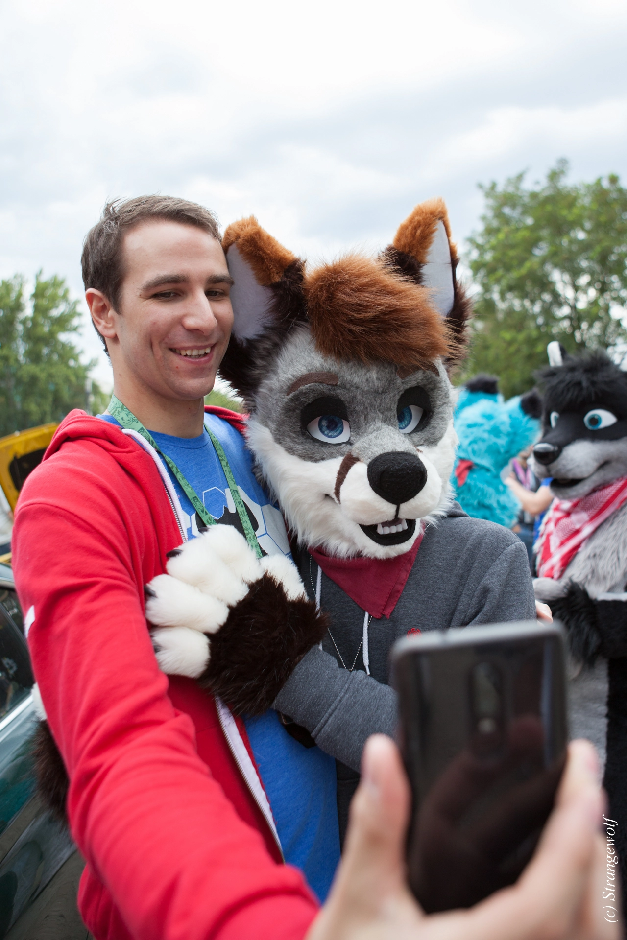 full image IMG_5267-lr19t.jpg