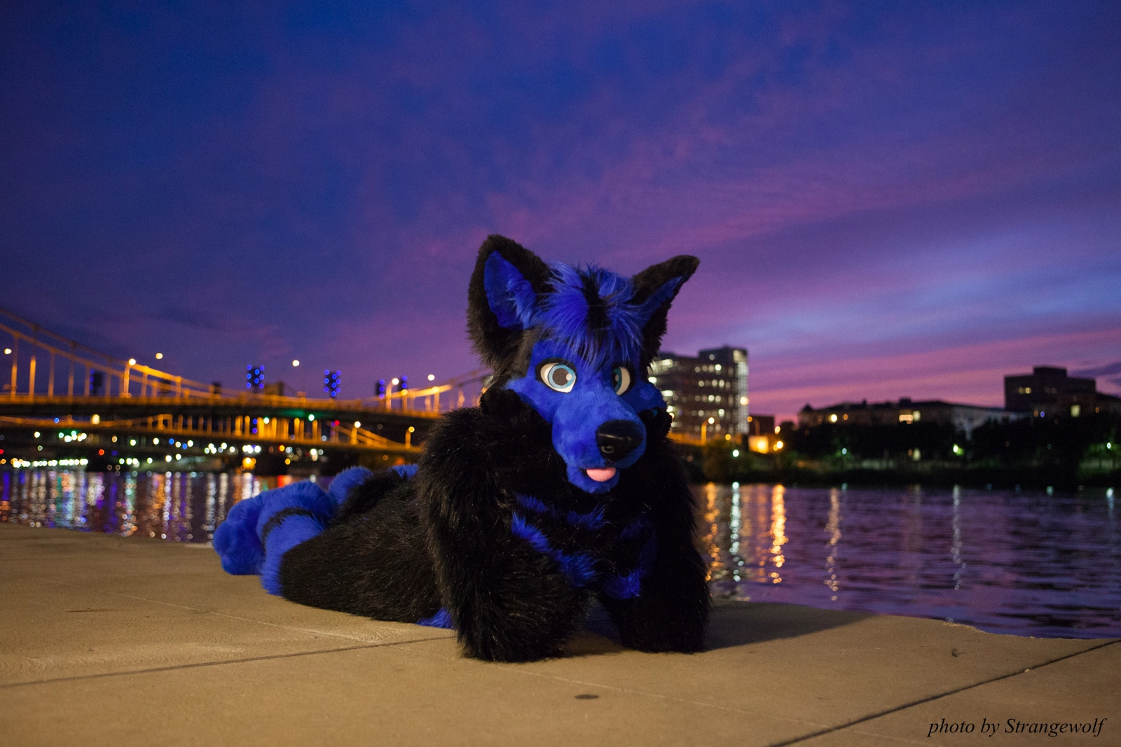 full image IMG_8428-lr16t.jpg