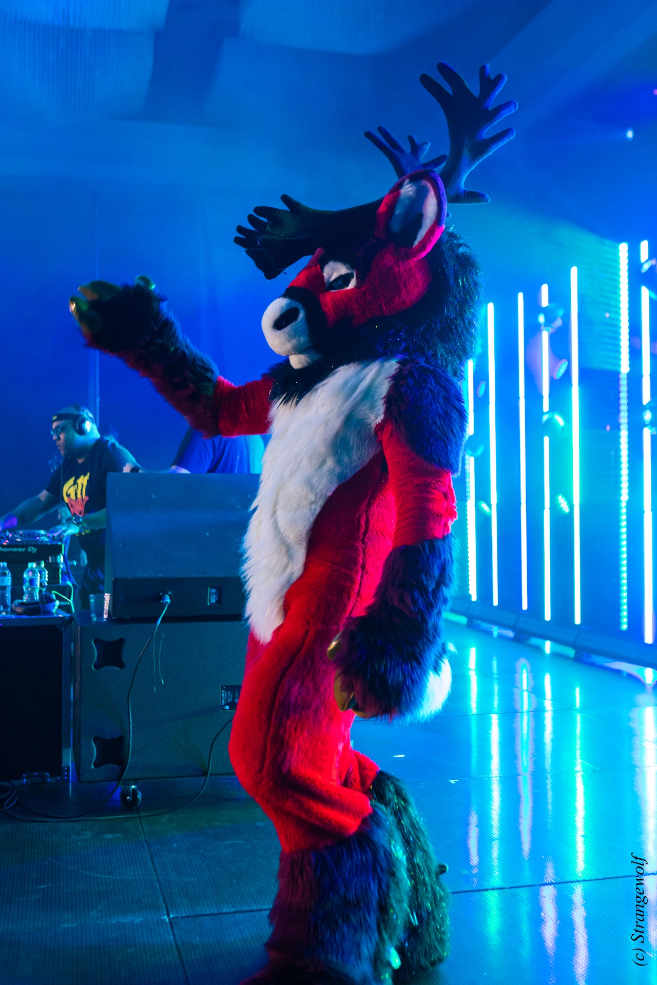 full image 1R3A5120-lr19t.jpg