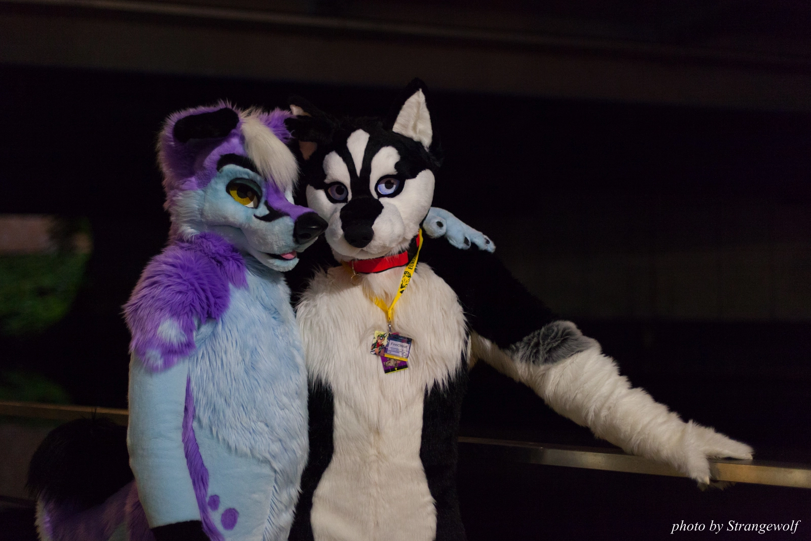 full image IMG_8990-lr16t.jpg