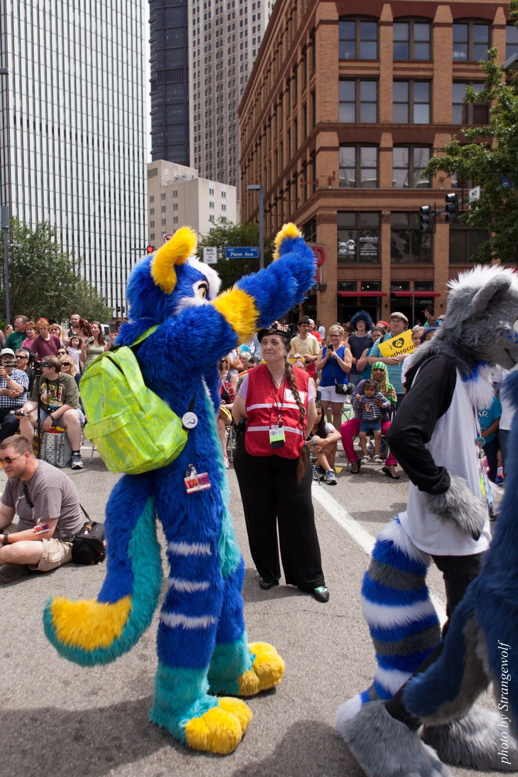 full image IMG_8056-lr16t.jpg