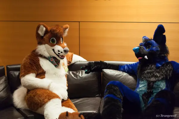 IMG_1628-lr19t.jpg of FWA/FWA2018/