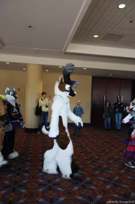 IMG_0550-lr.jpg of MFF/MFF2013/
