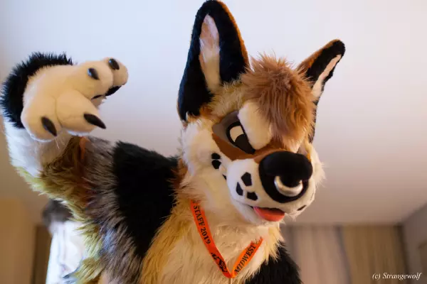 IMG_8118-lr19t.jpg of MFF/MFF2019/