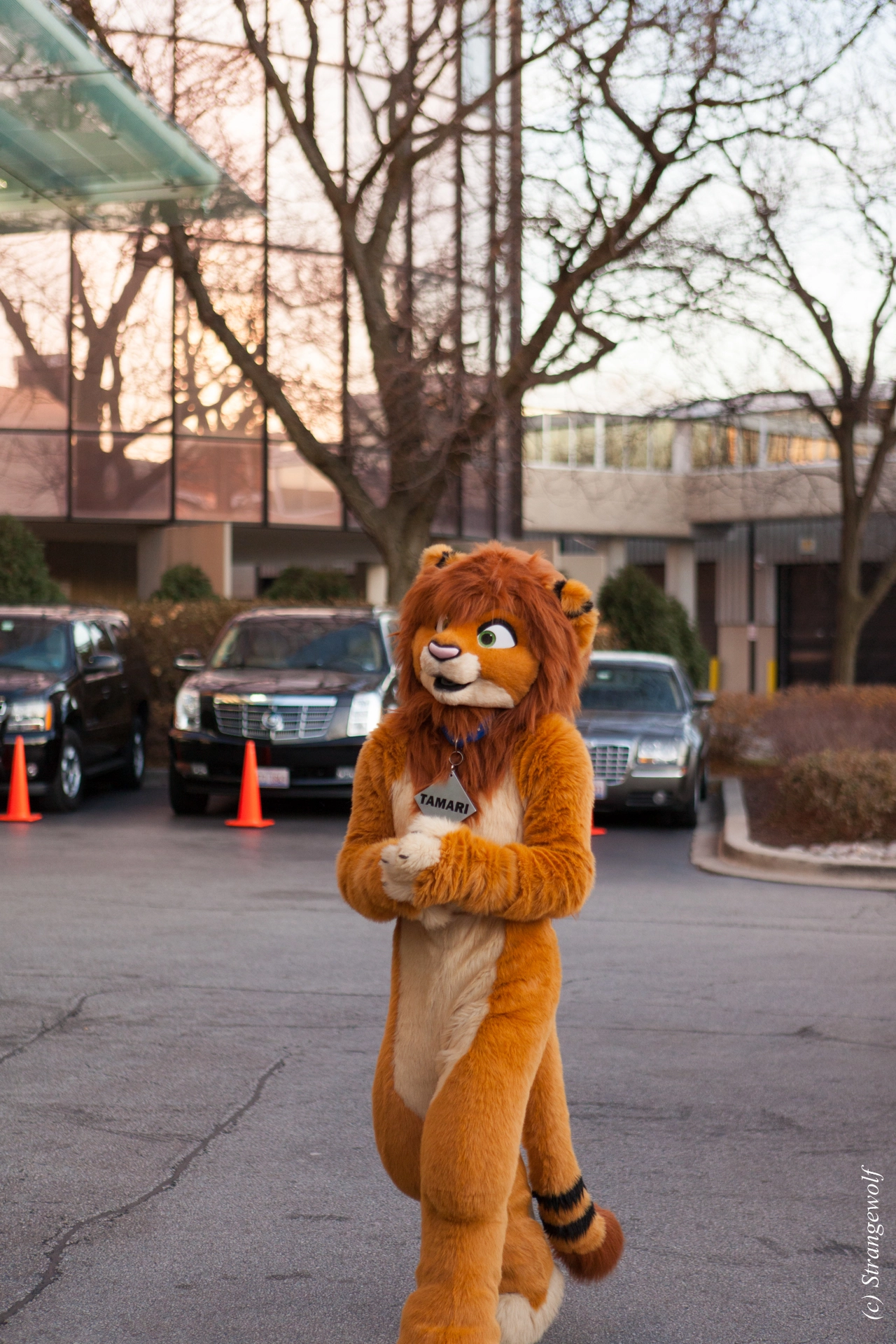 full image IMG_8206-lr19t.jpg