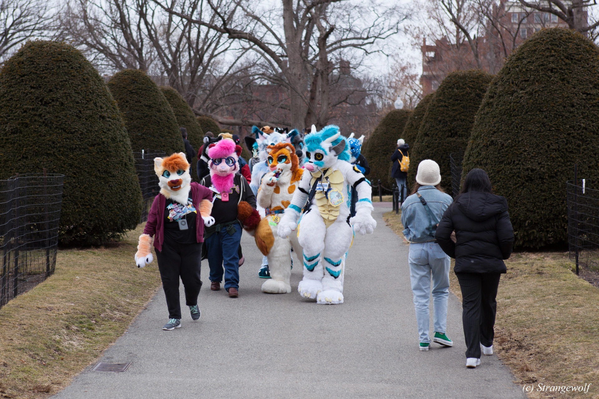 full image IMG_3259-lr19t.jpg