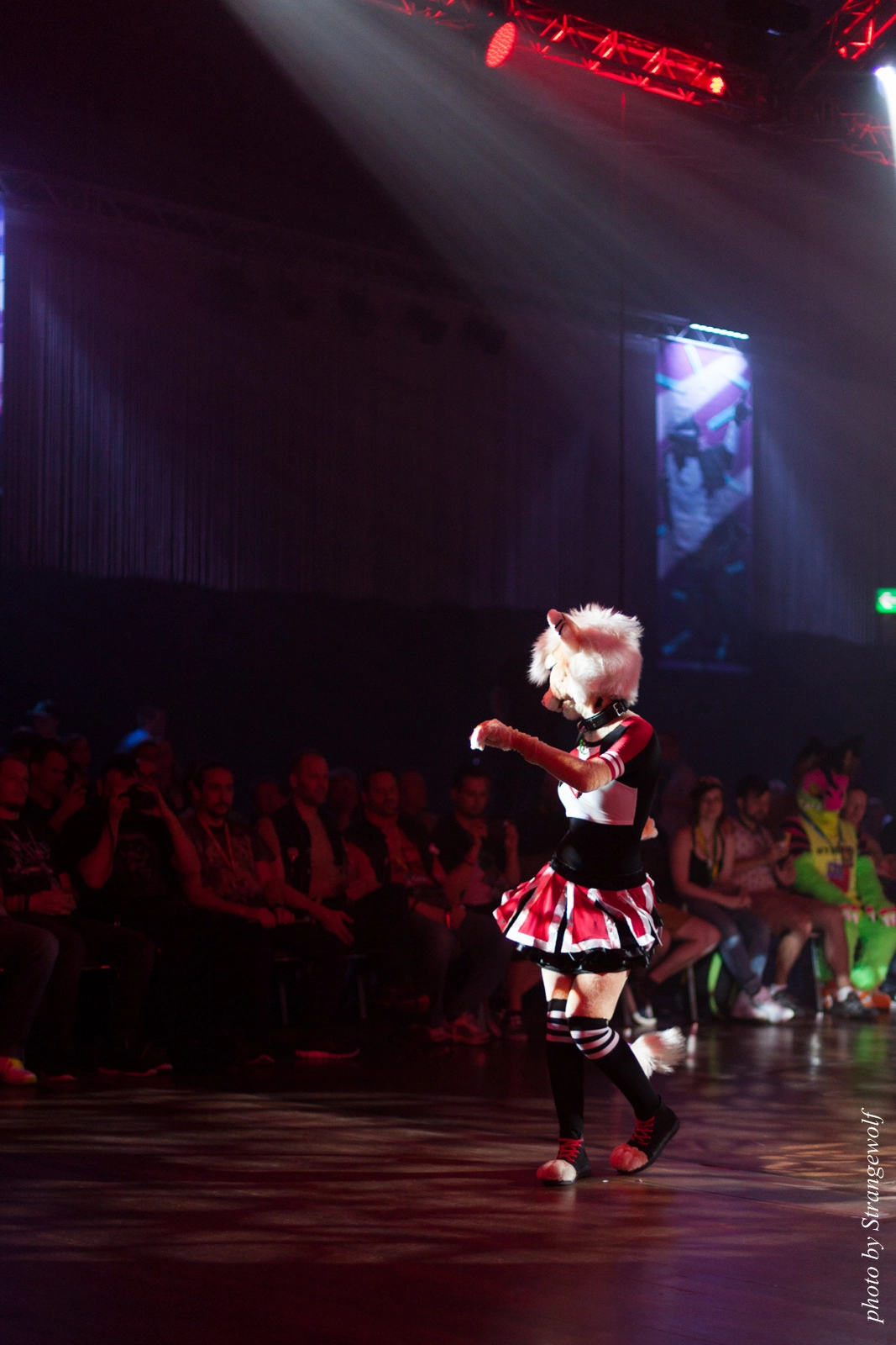 full image IMG_9048-lr16t.jpg