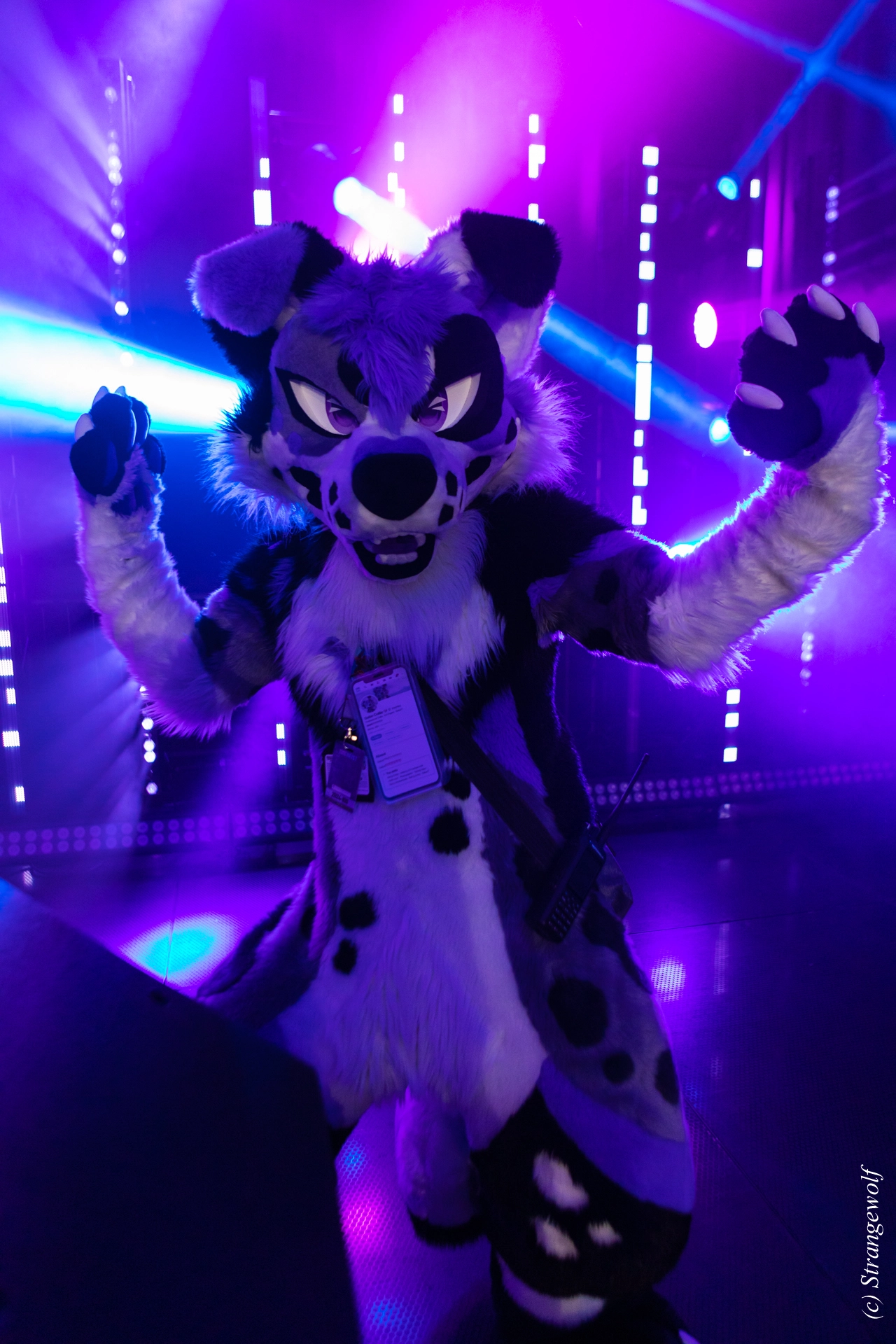 full image 1R3A5371-lr19t.jpg