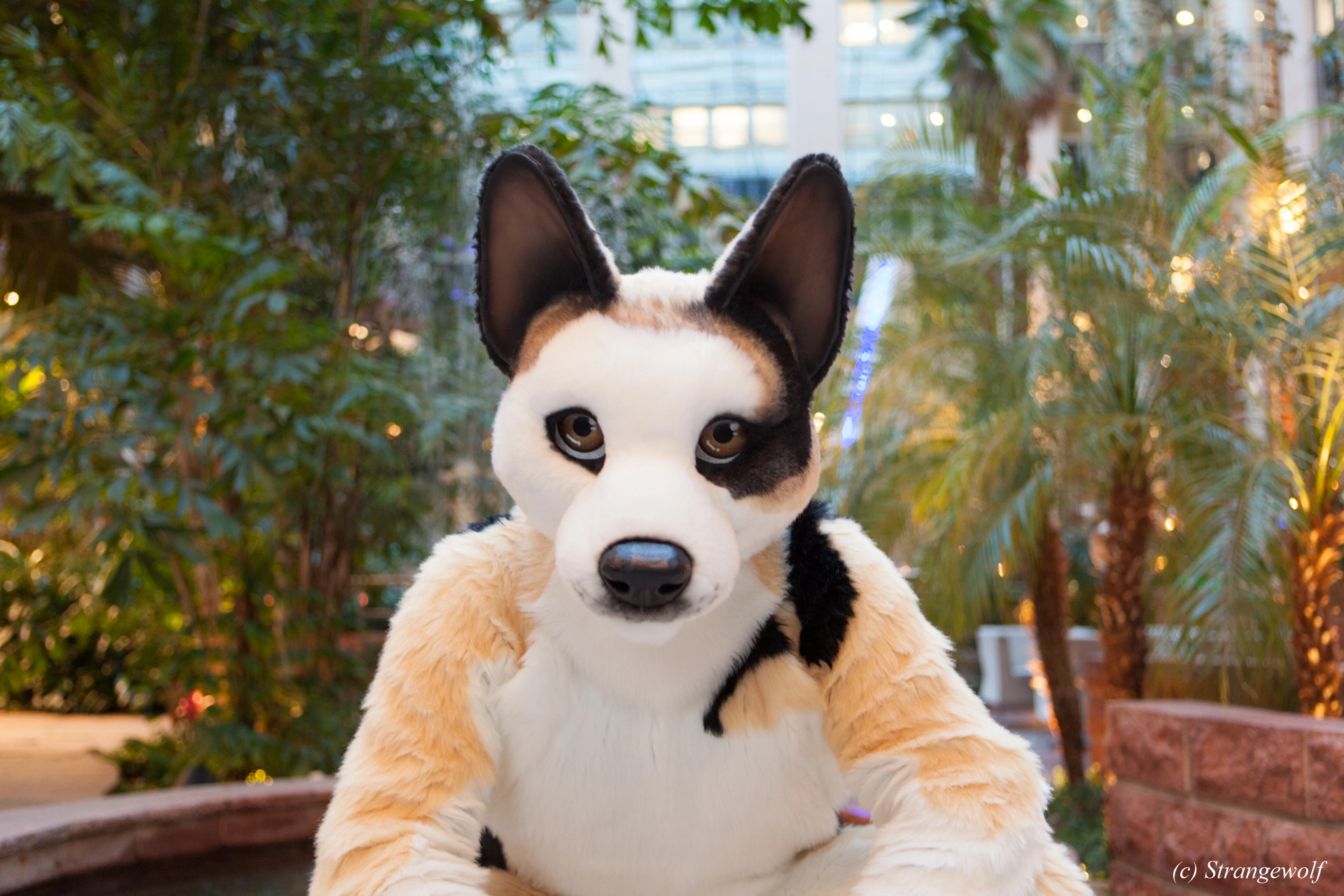 full image IMG_8912-lr19t.jpg