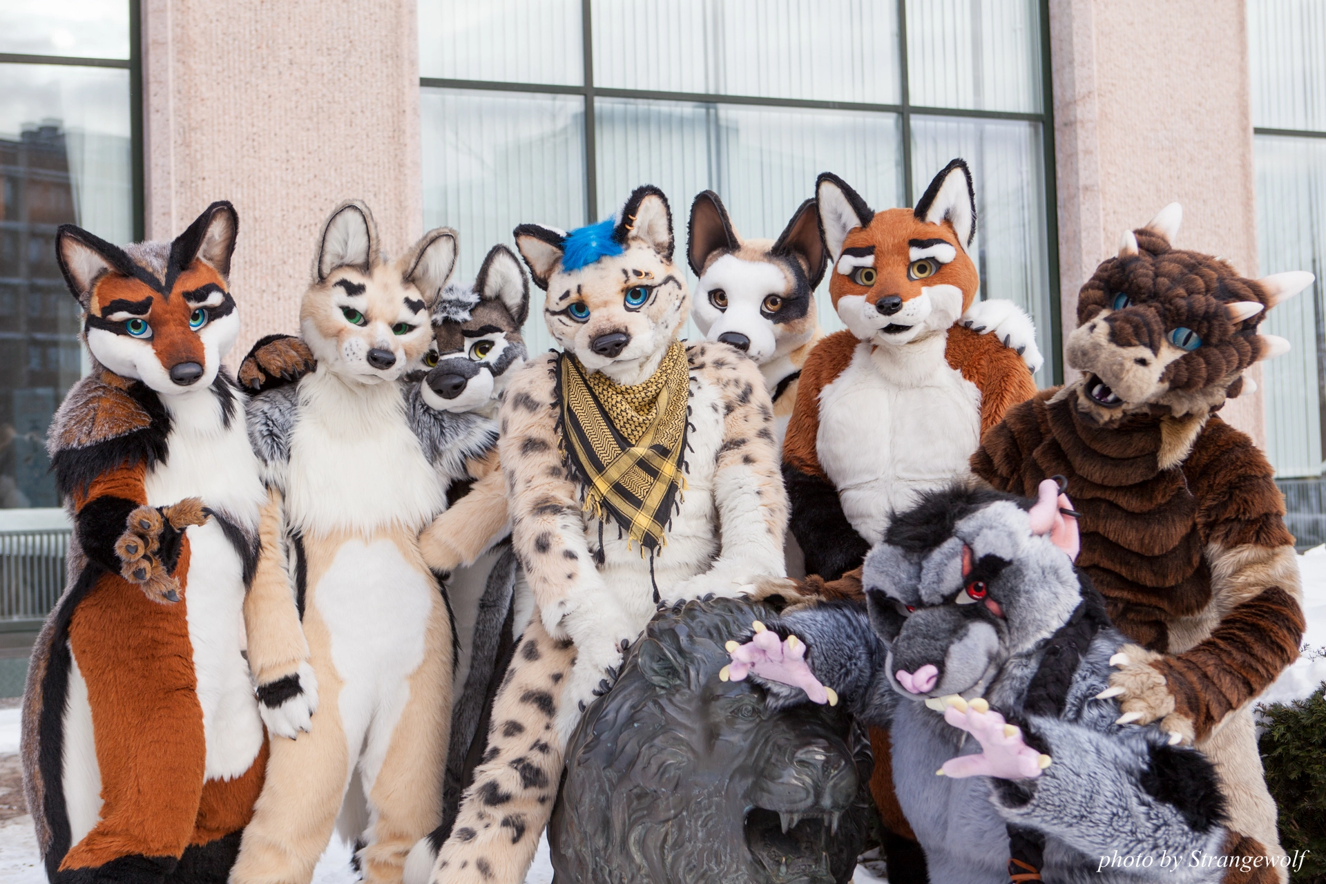 full image IMG_0305-lr19t.jpg