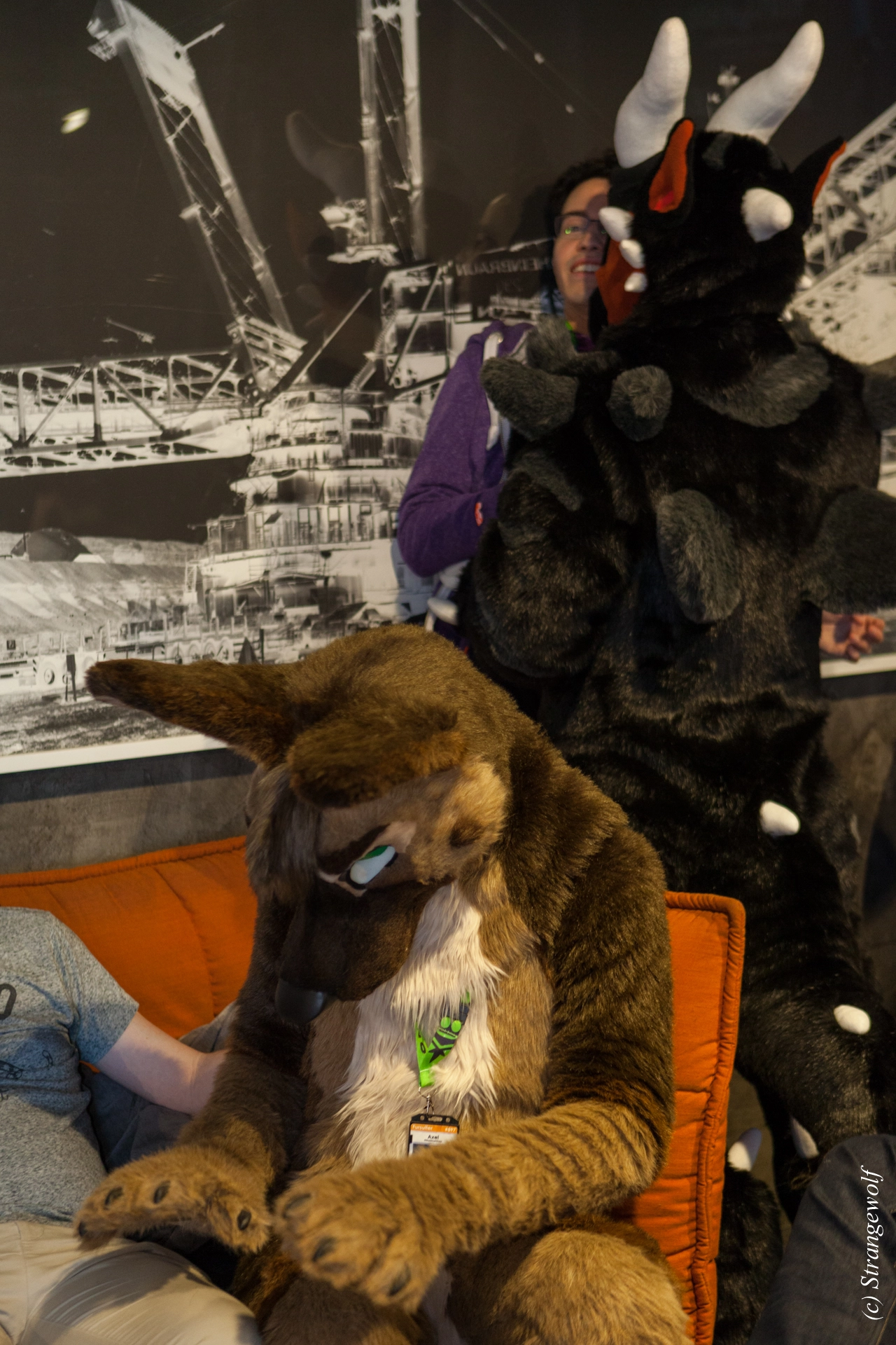 full image IMG_8959-lr19t.jpg