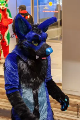 IMG_1551-lr19t.jpg of FWA/FWA2018/