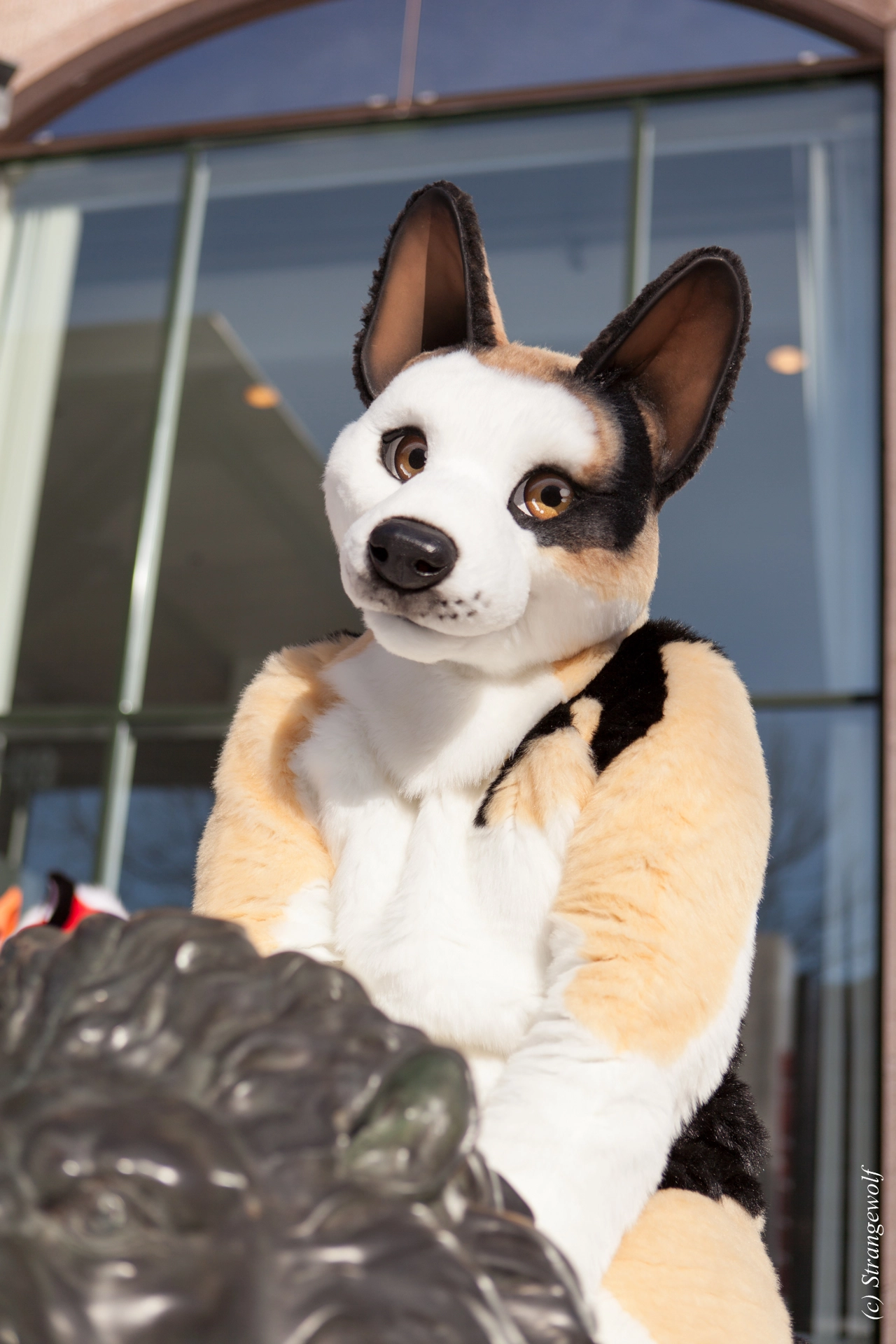 full image IMG_9568-lr19t.jpg