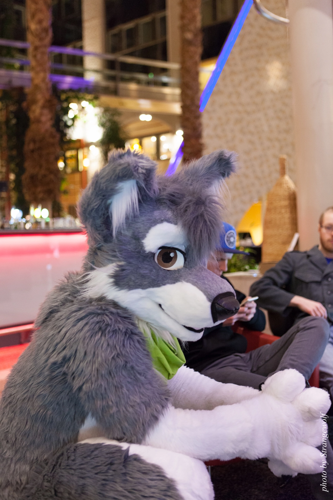 full image IMG_2465-lr16t.jpg