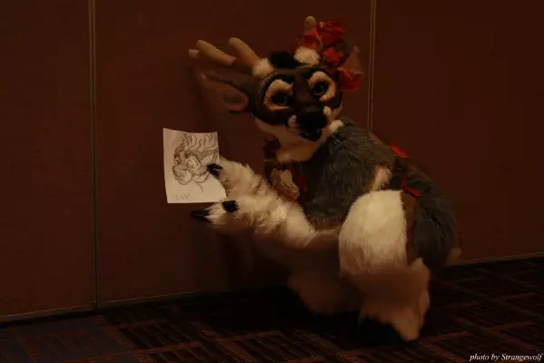 IMG_0325-lr.jpg of MFF/MFF2013/