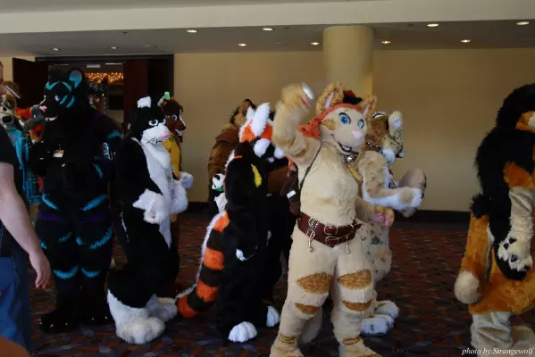 IMG_0527-lr.jpg of MFF/MFF2013/