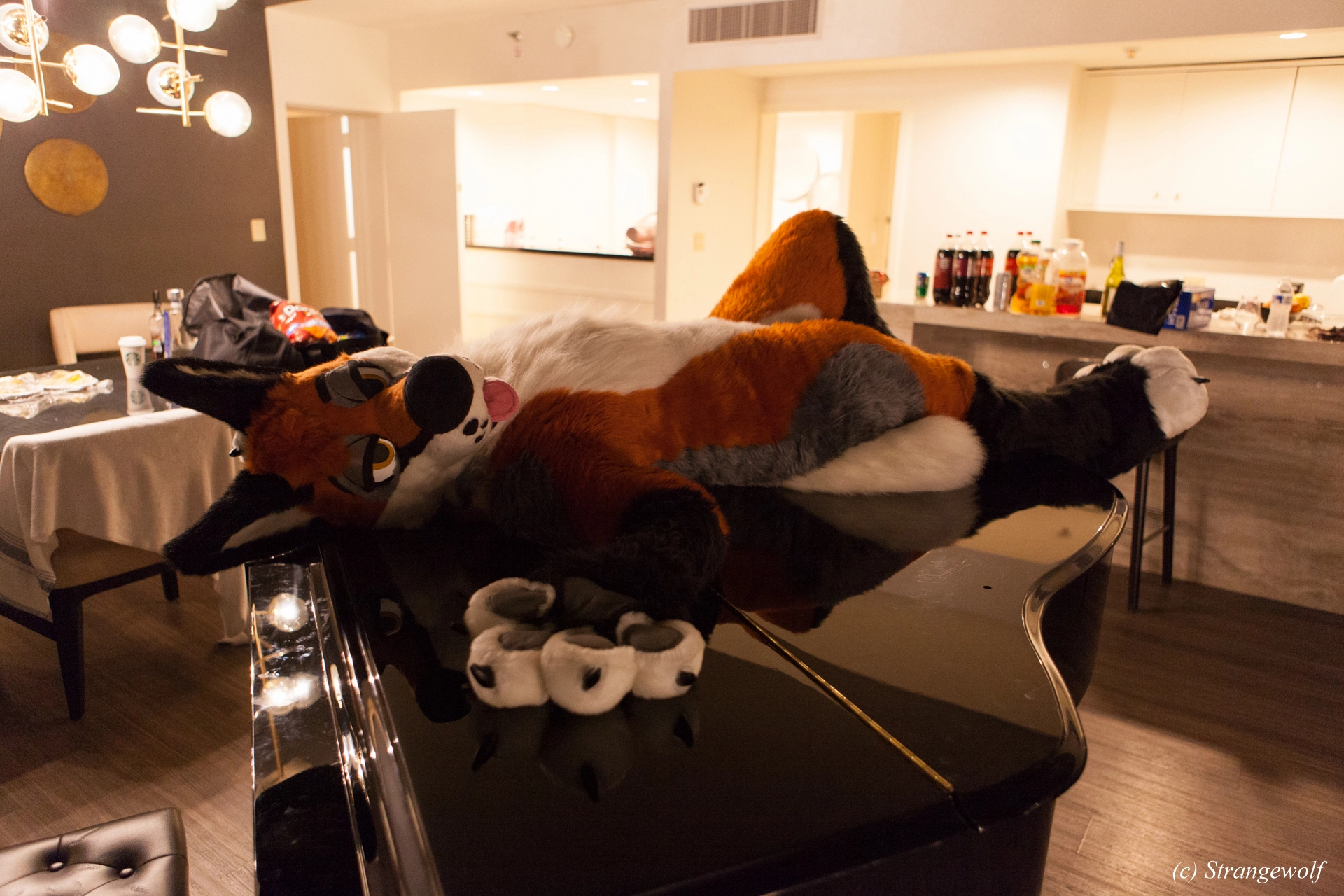 full image IMG_2249-lr19t.jpg