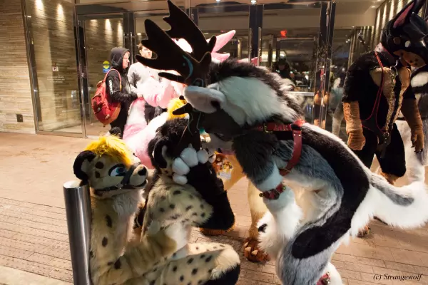 IMG_6860-lr19t.jpg of MFF/MFF2018/