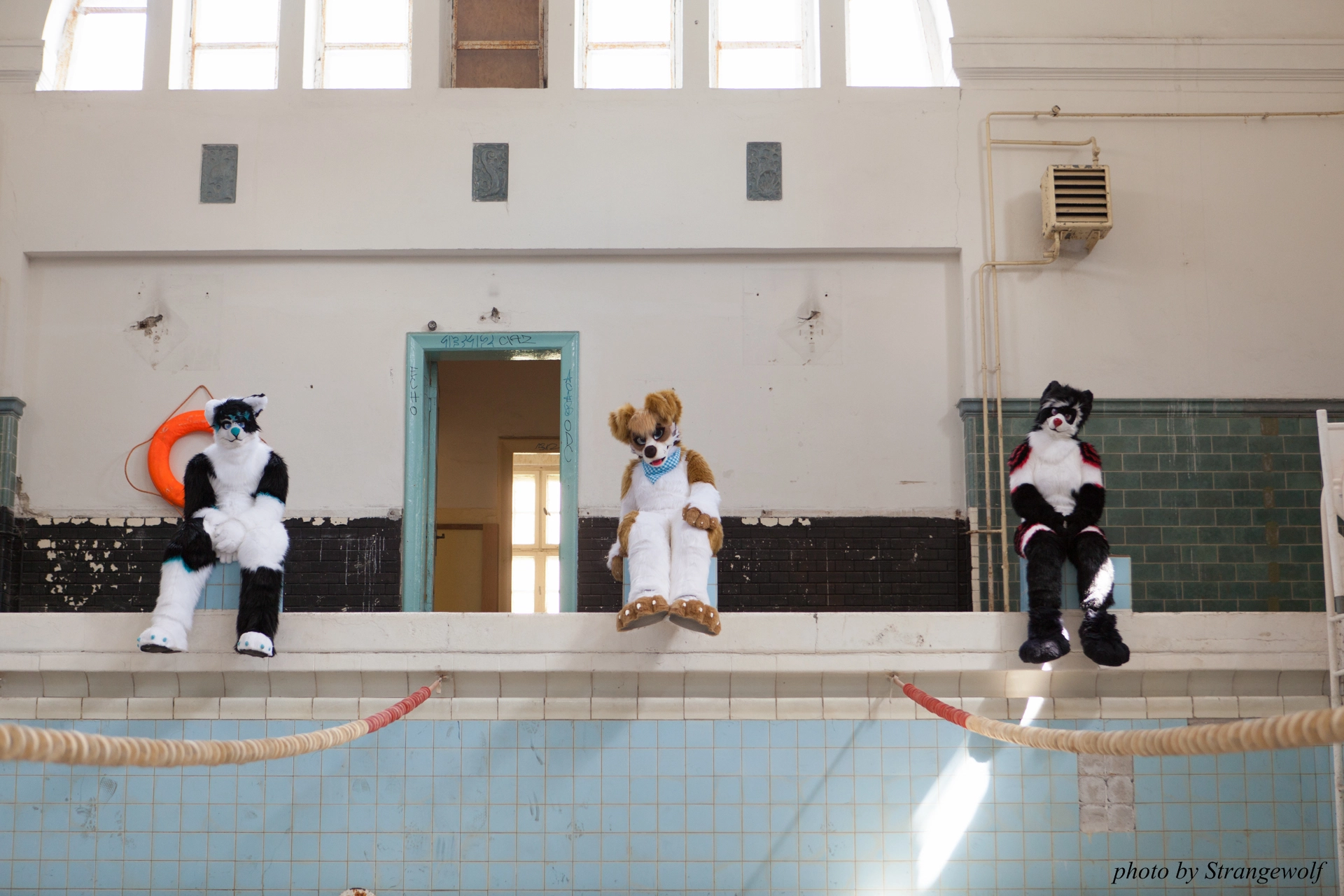 full image IMG_6009-lr19t.jpg