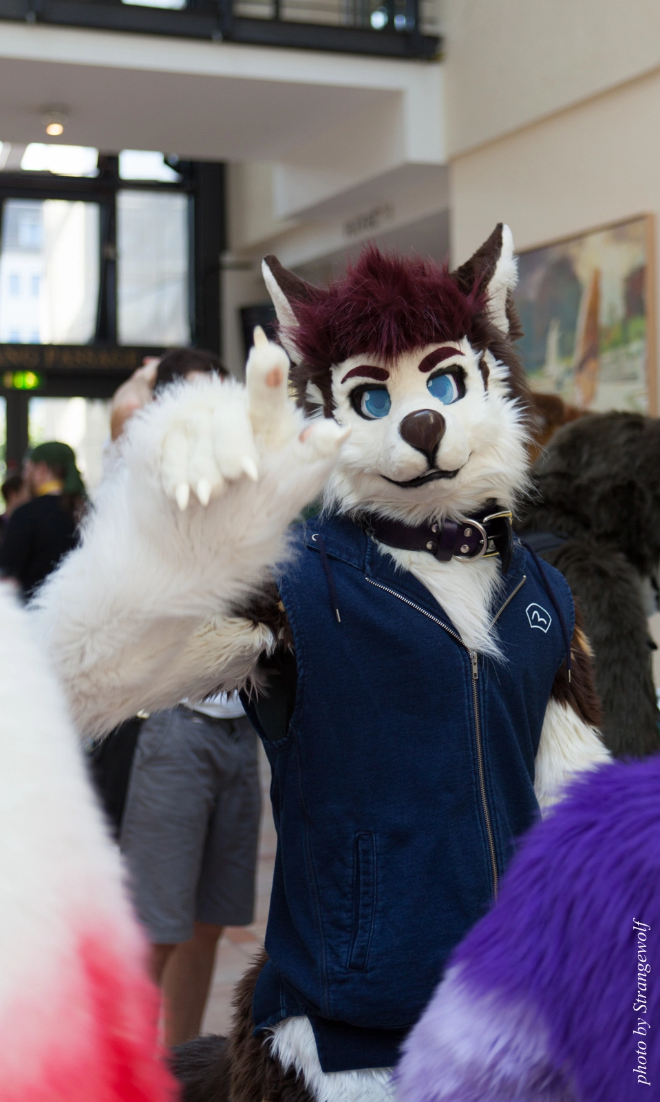 full image IMG_1800-lr16t.jpg