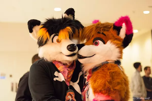 IMG_8018-lr19t.jpg of MFF/MFF2018/