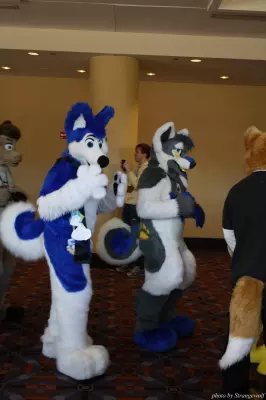 IMG_0533-lr.jpg of MFF/MFF2013/