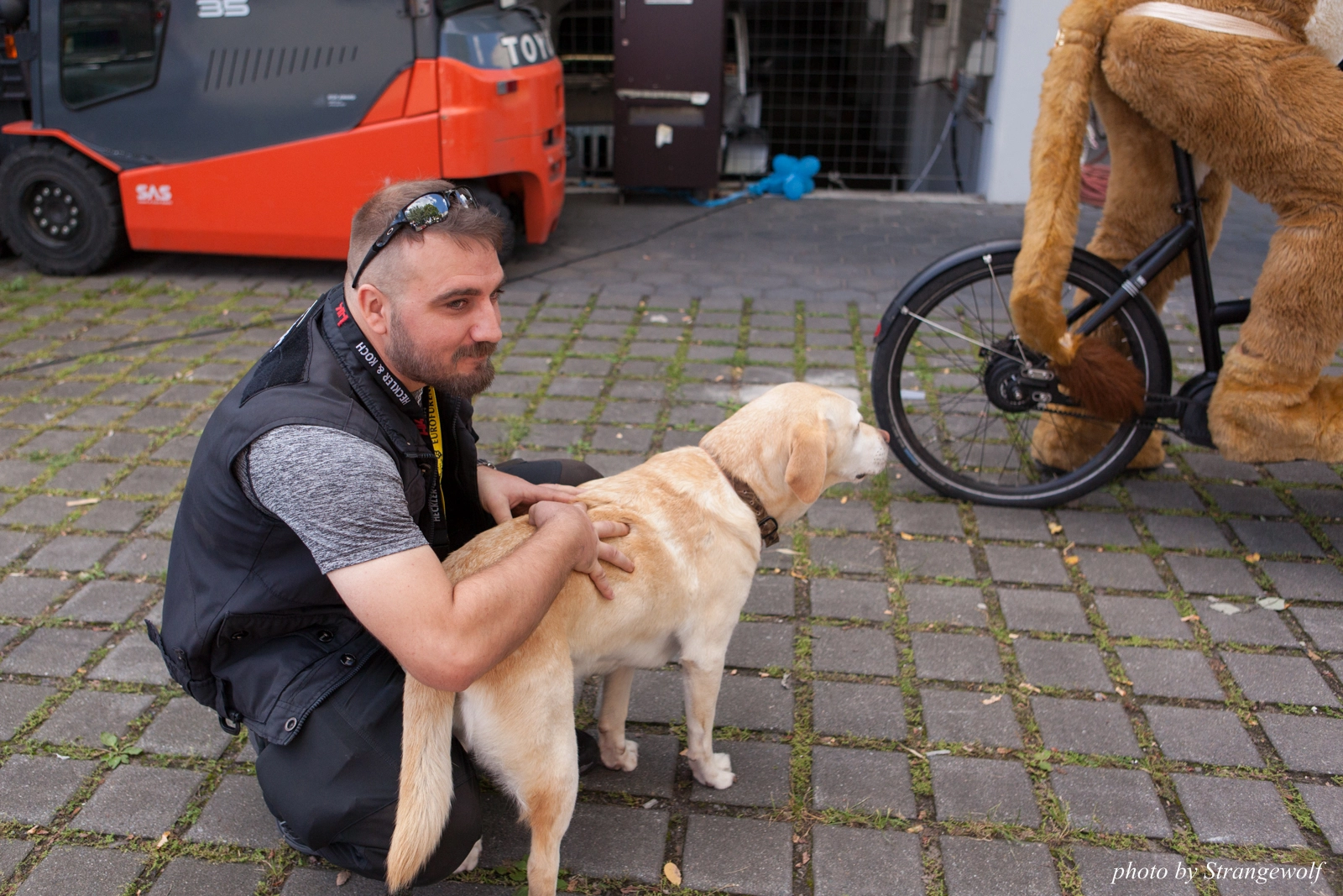 full image IMG_6976-lr16t.jpg