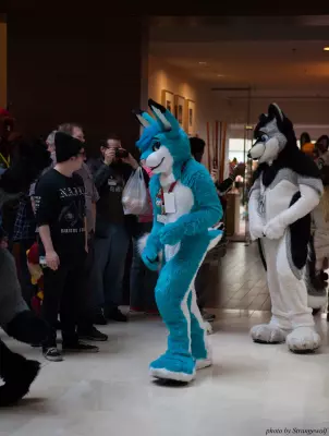 IMG_5982-lr16t.jpg of MFF/MFF2014/