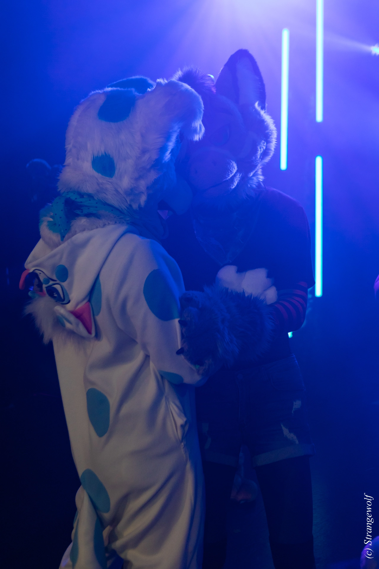 full image 1R3A1315-lr19t.jpg