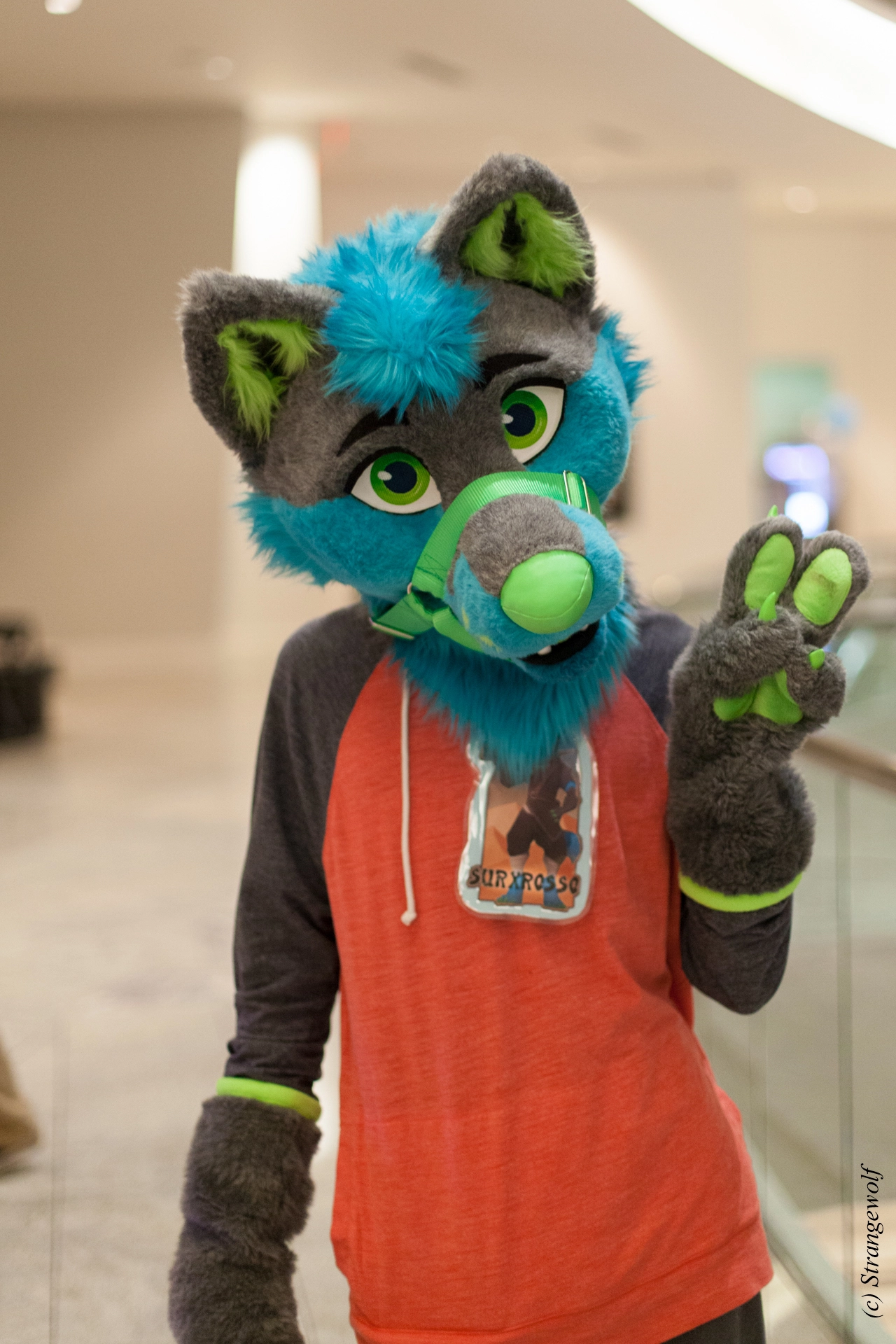 full image IMG_1787-lr19t.jpg