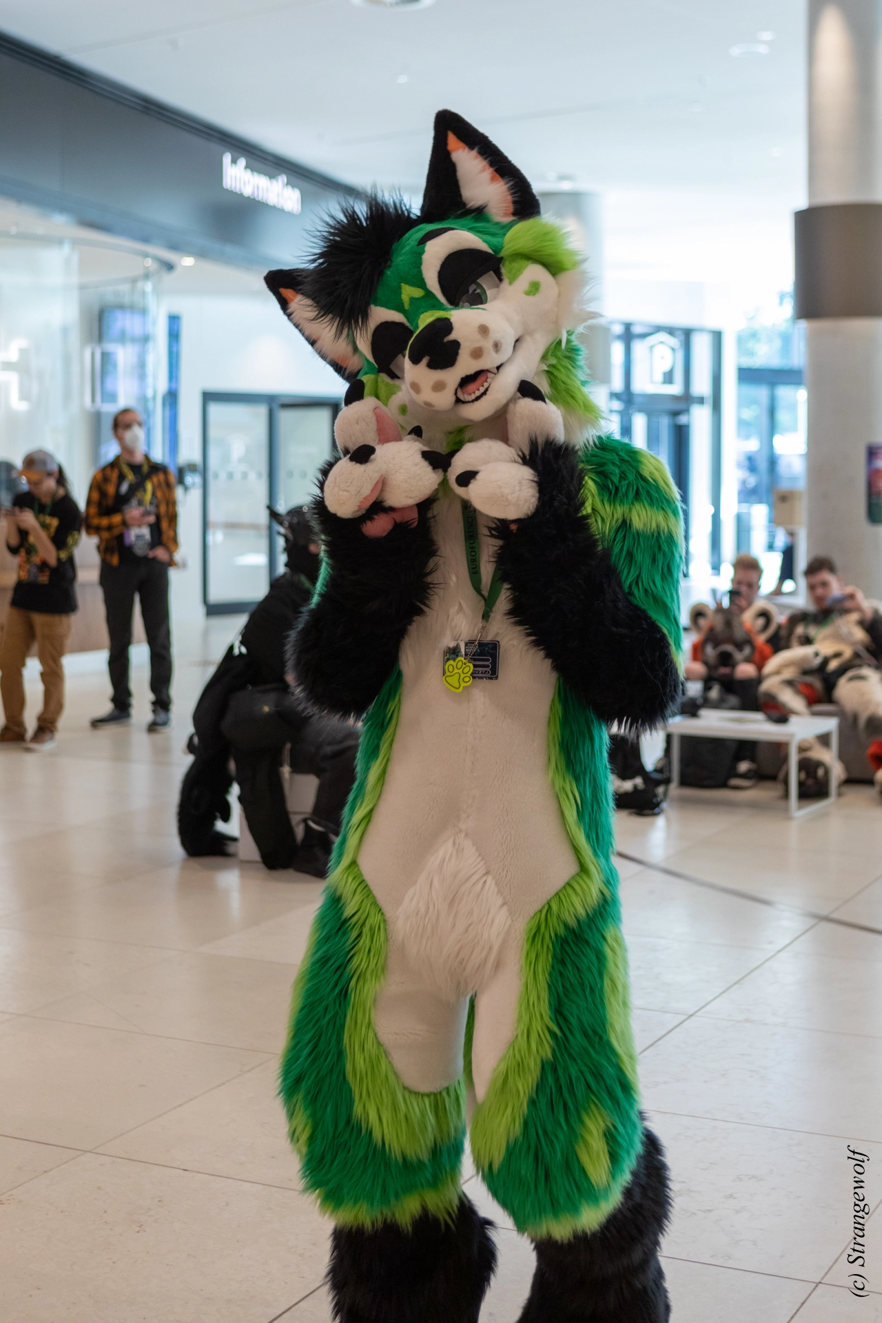 full image 1R3A9239-lr19t.jpg