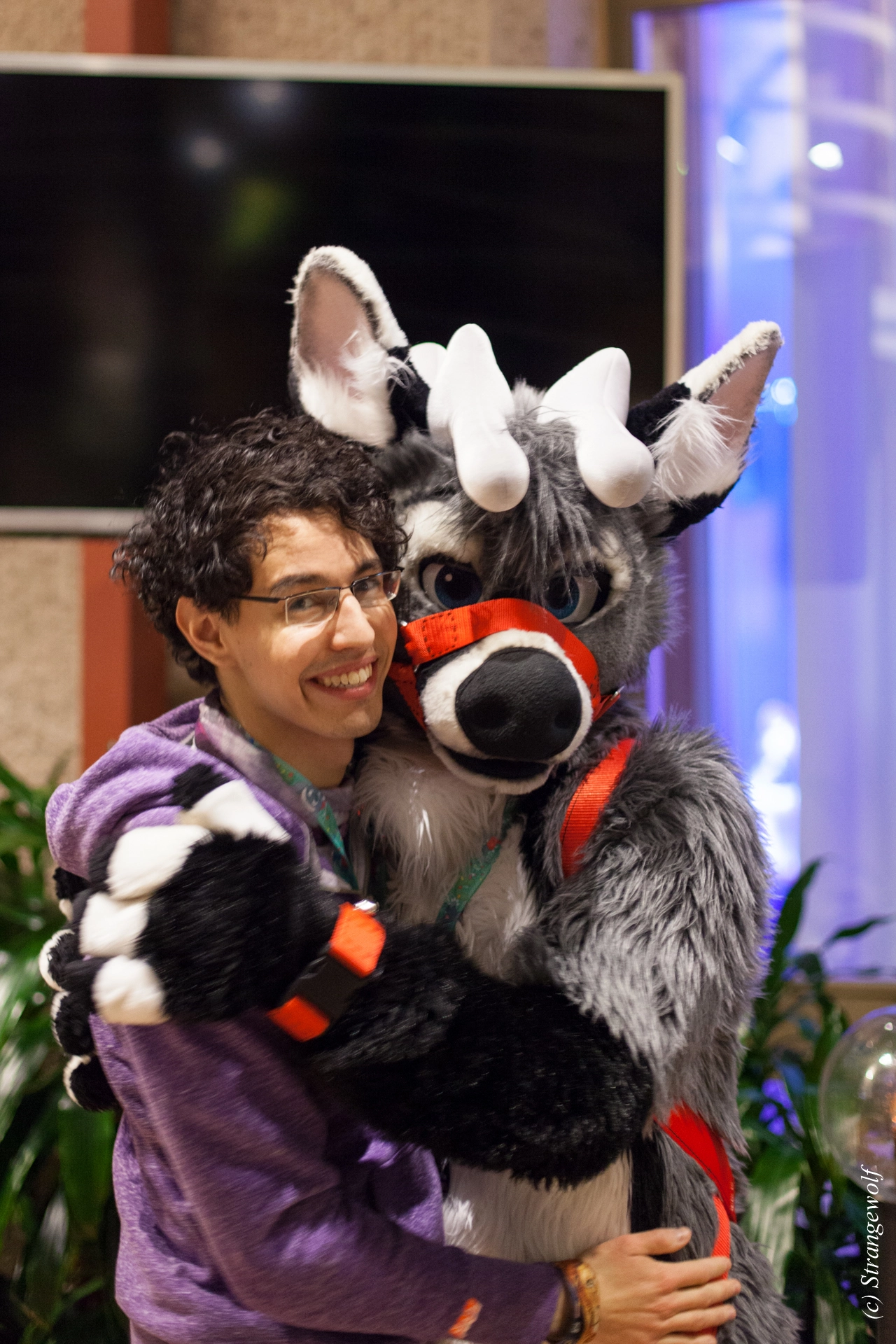 full image IMG_9269-lr19t.jpg