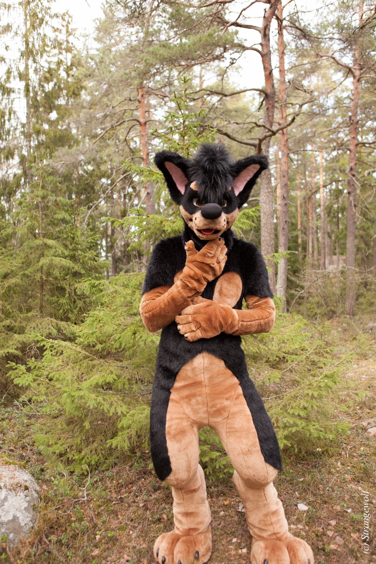 full image IMG_8660-lr19t.jpg