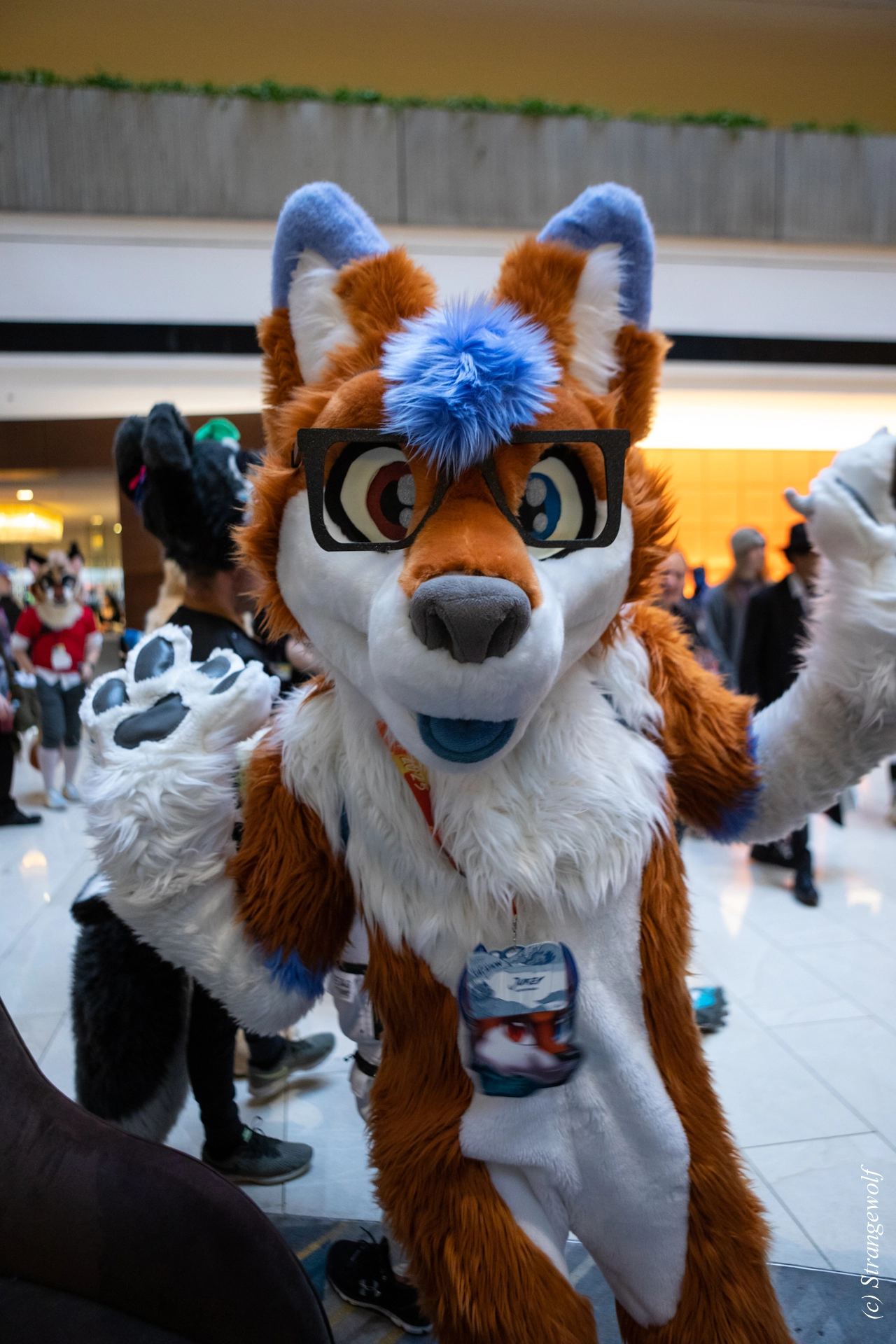 full image 1R3A0223-lr19t.jpg