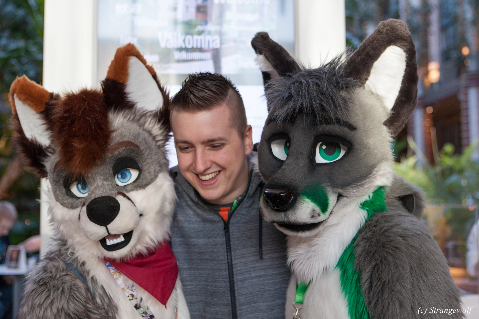 full image IMG_0160-lr19t.jpg