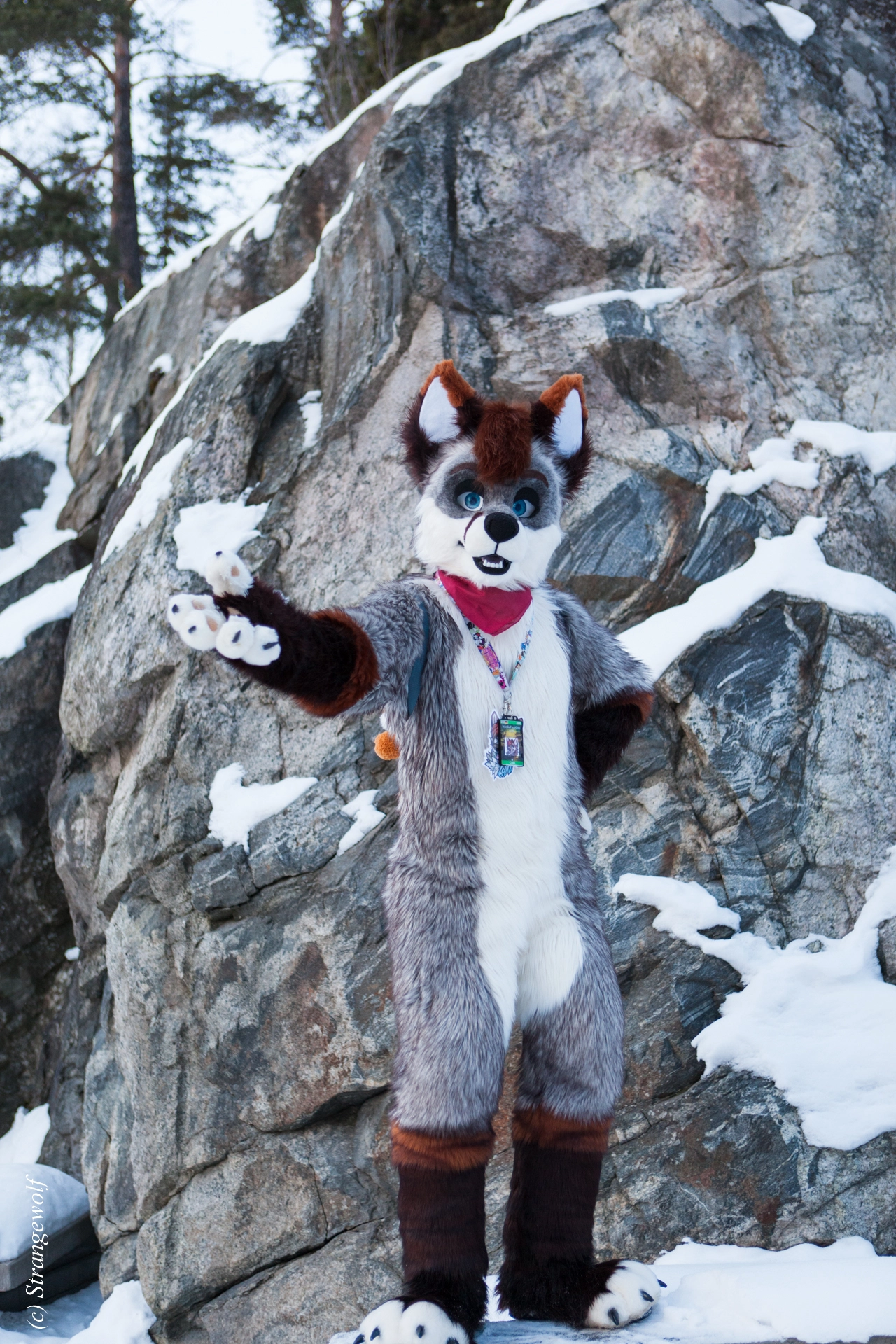 full image IMG_0644-lr19t.jpg