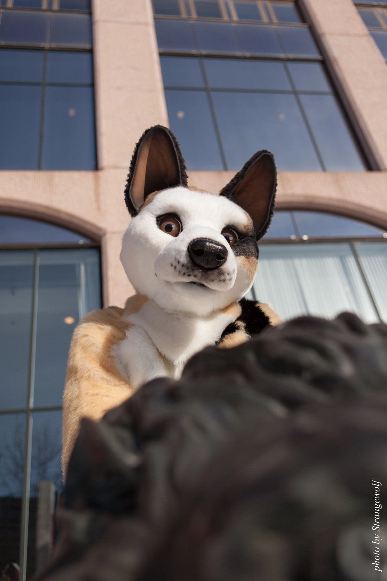 full image IMG_9577-lr19t.jpg