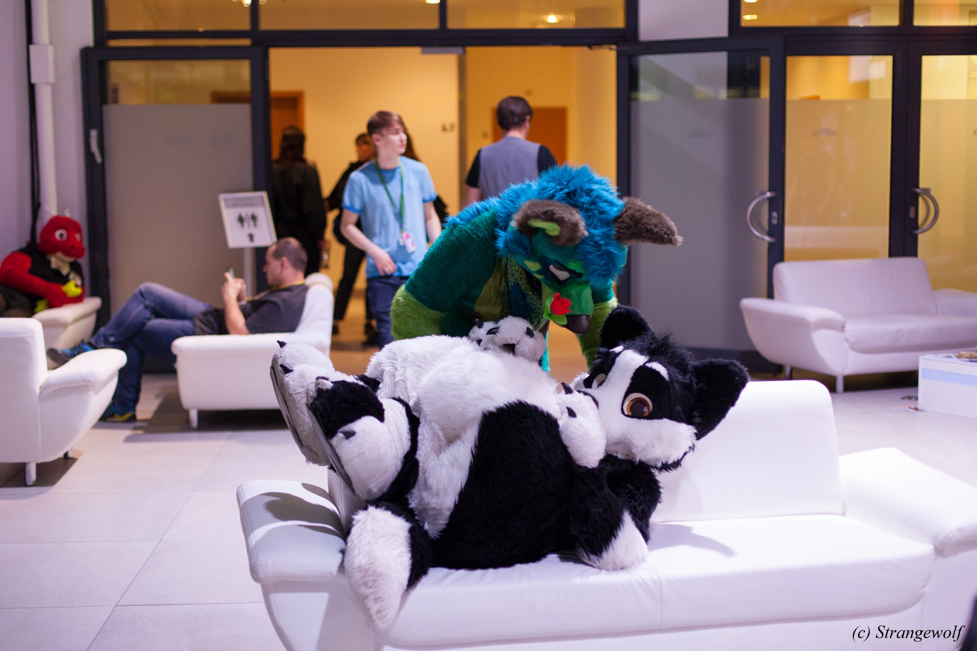 full image IMG_5371-lr19t.jpg