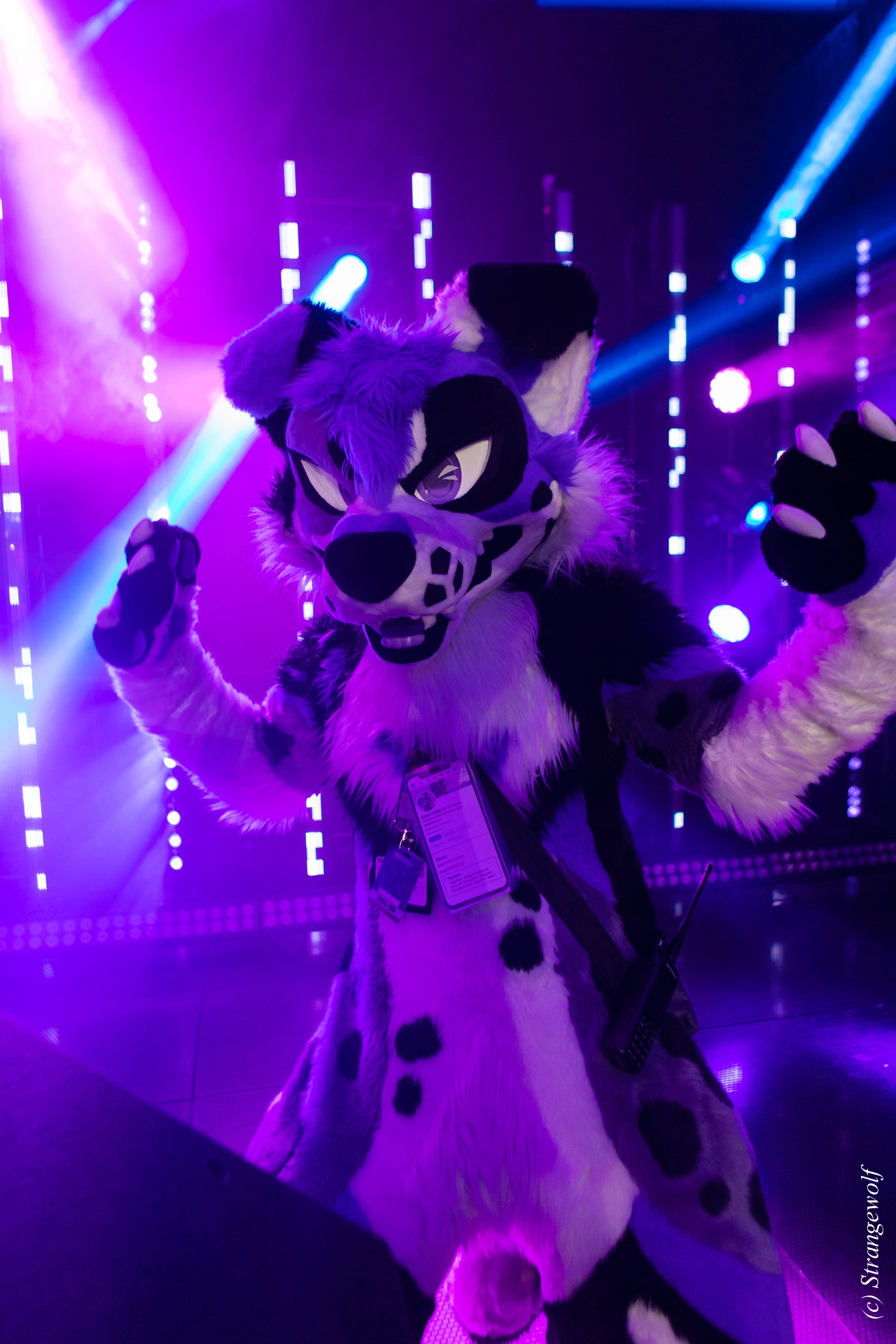 full image 1R3A5366-lr19t.jpg