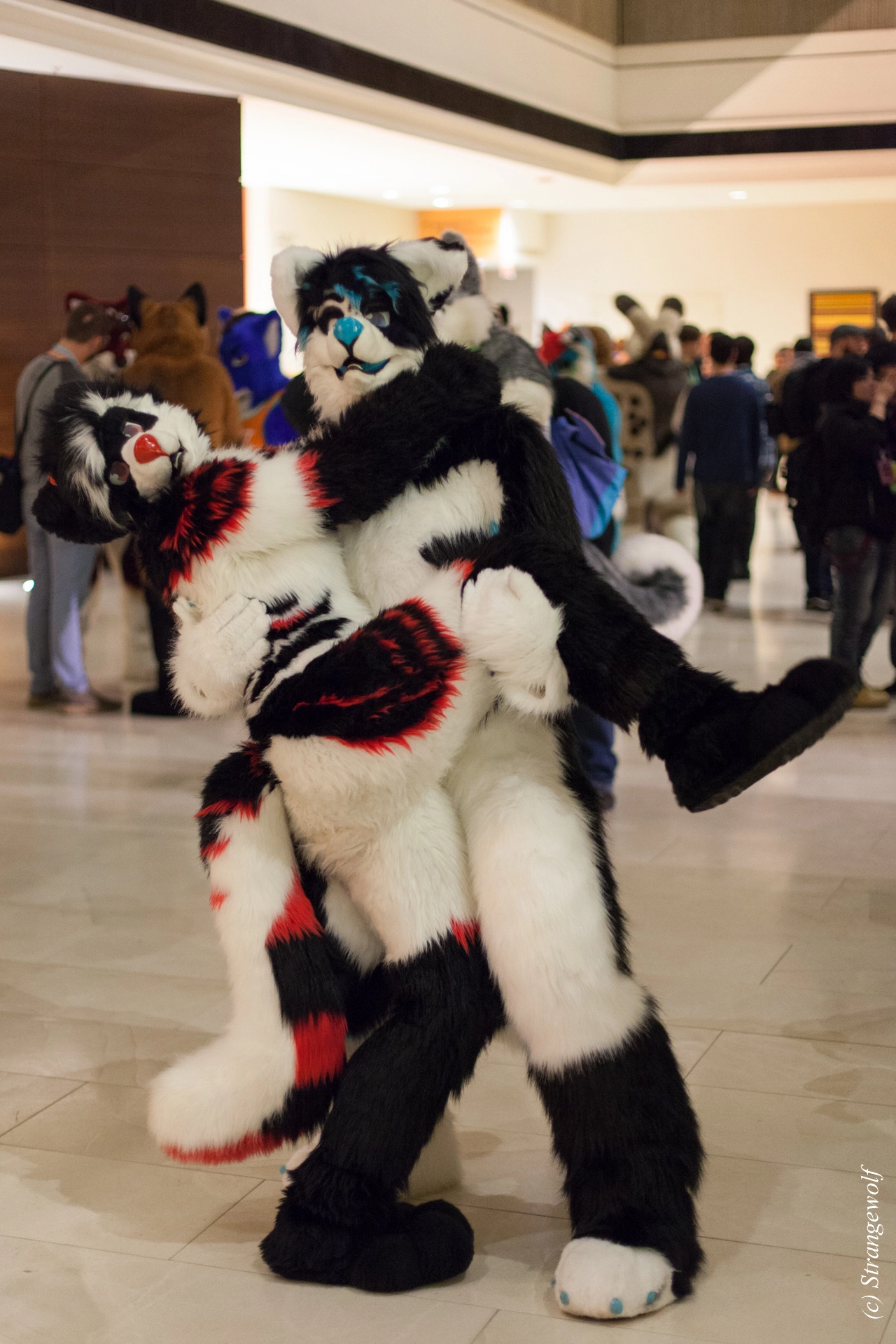 full image IMG_7084-lr19t.jpg
