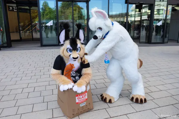 1R3A9294-lr19t.jpg of EF/EF29/