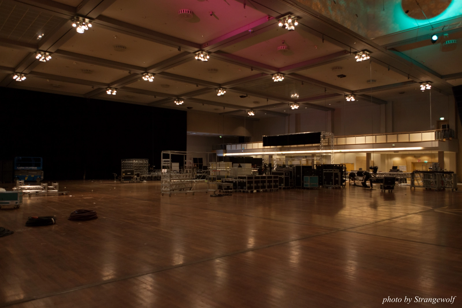 full image IMG_0401-lr16t.jpg