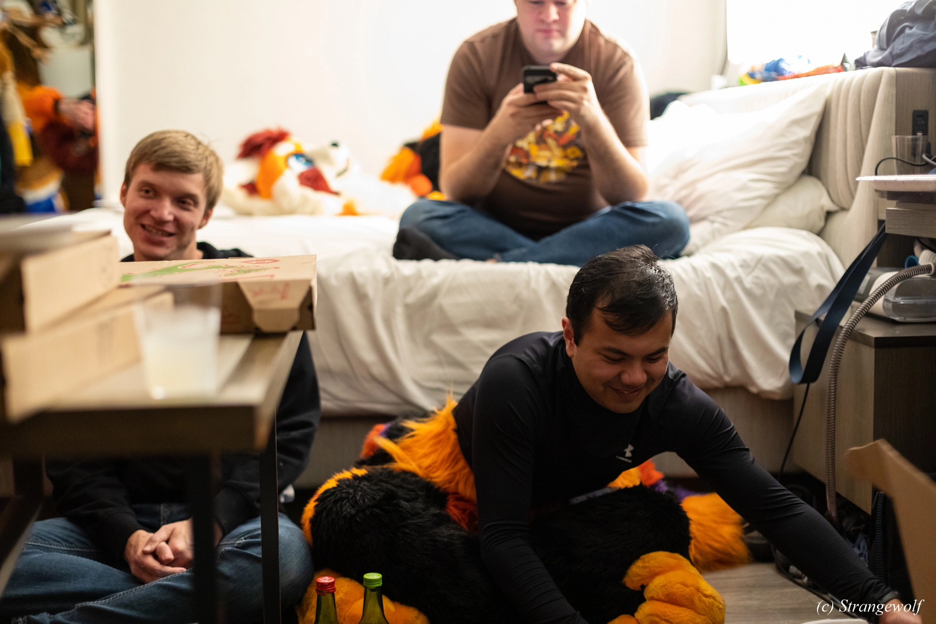 full image 1R3A0172-lr19t.jpg