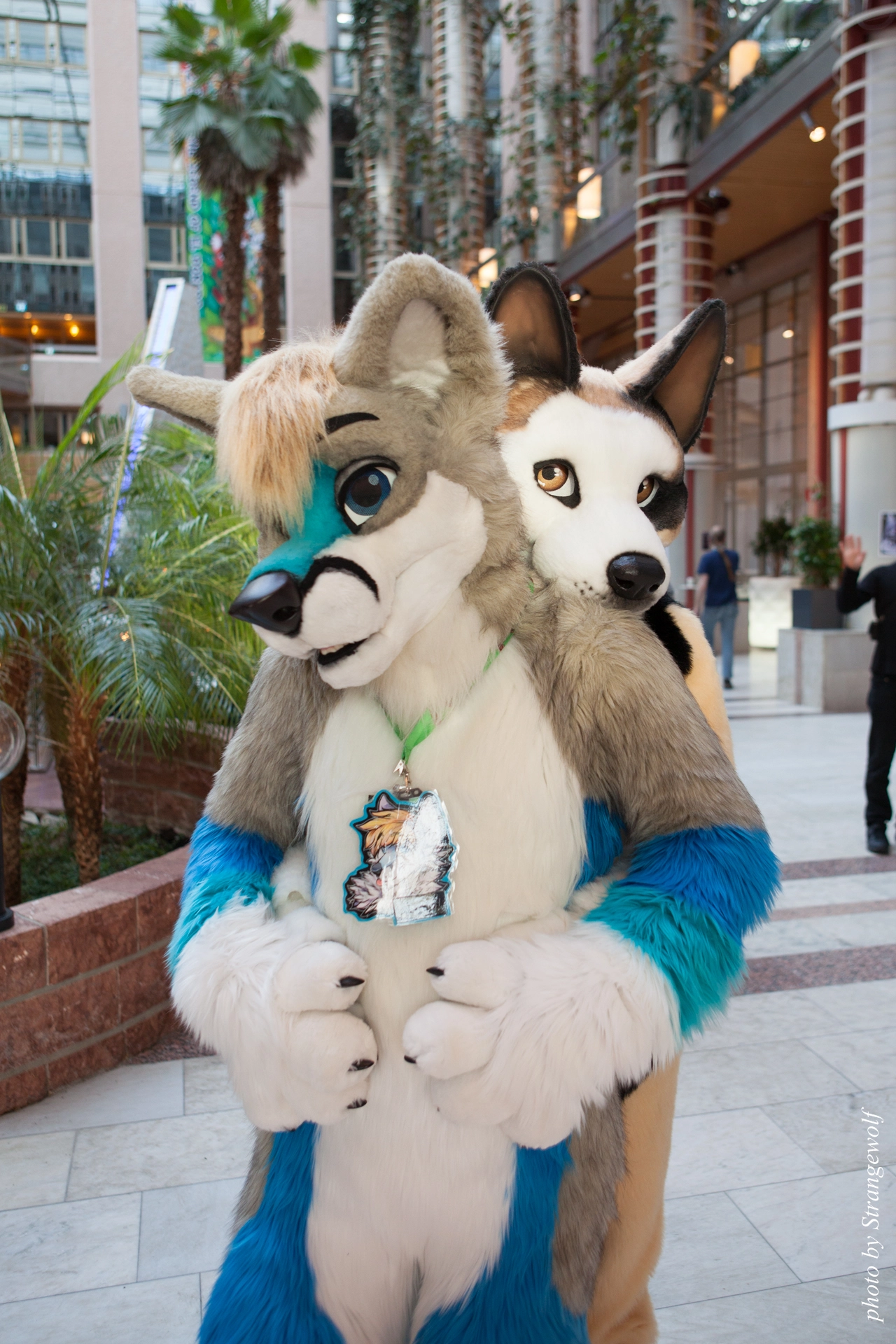 full image IMG_0535-lr19t.jpg