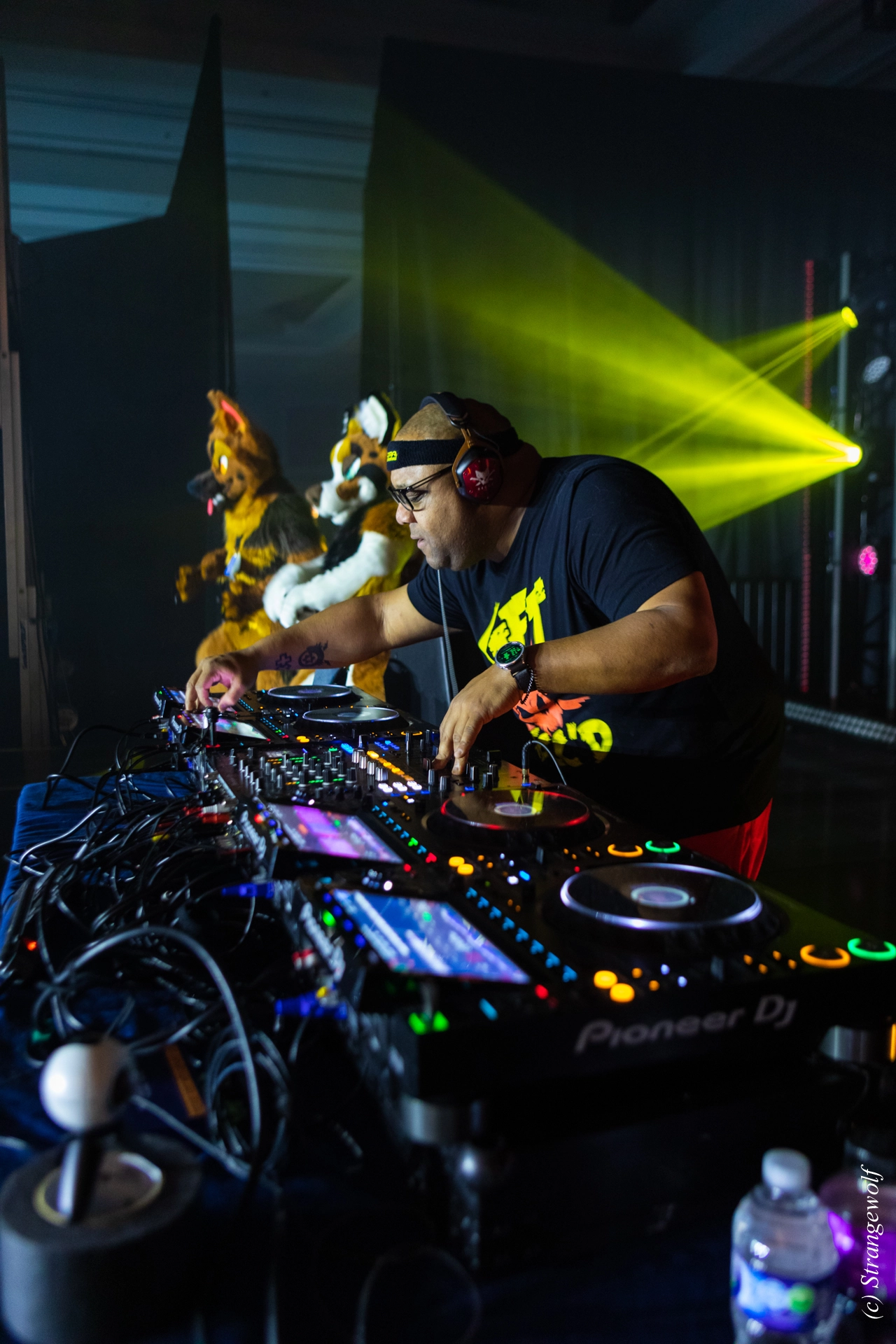 full image 1R3A5227-lr19t.jpg