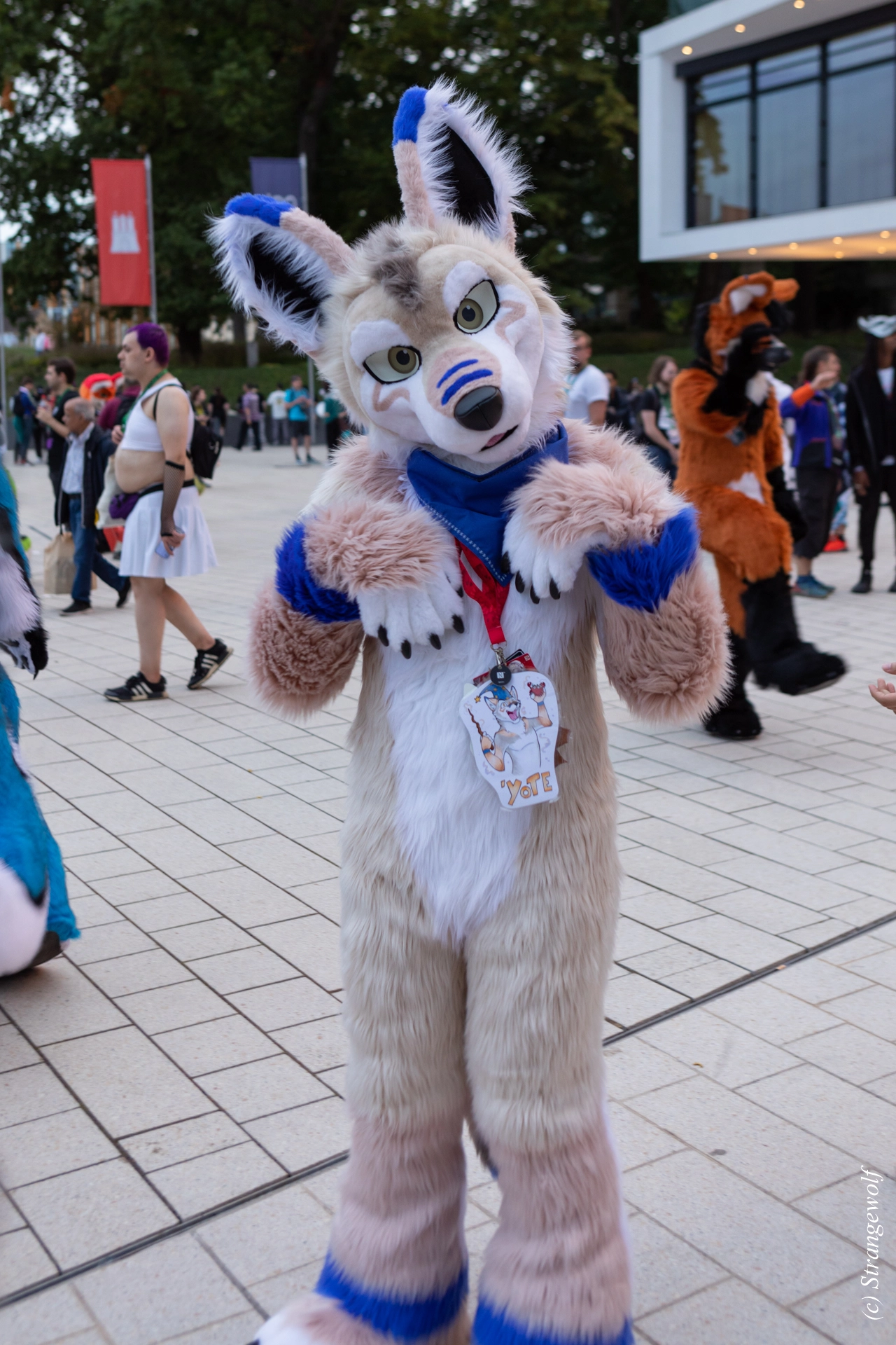 full image 1R3A9190-lr19t.jpg