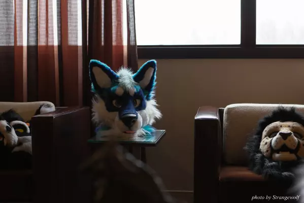 IMG_0660-lr16t.jpg of MFF/MFF2016/