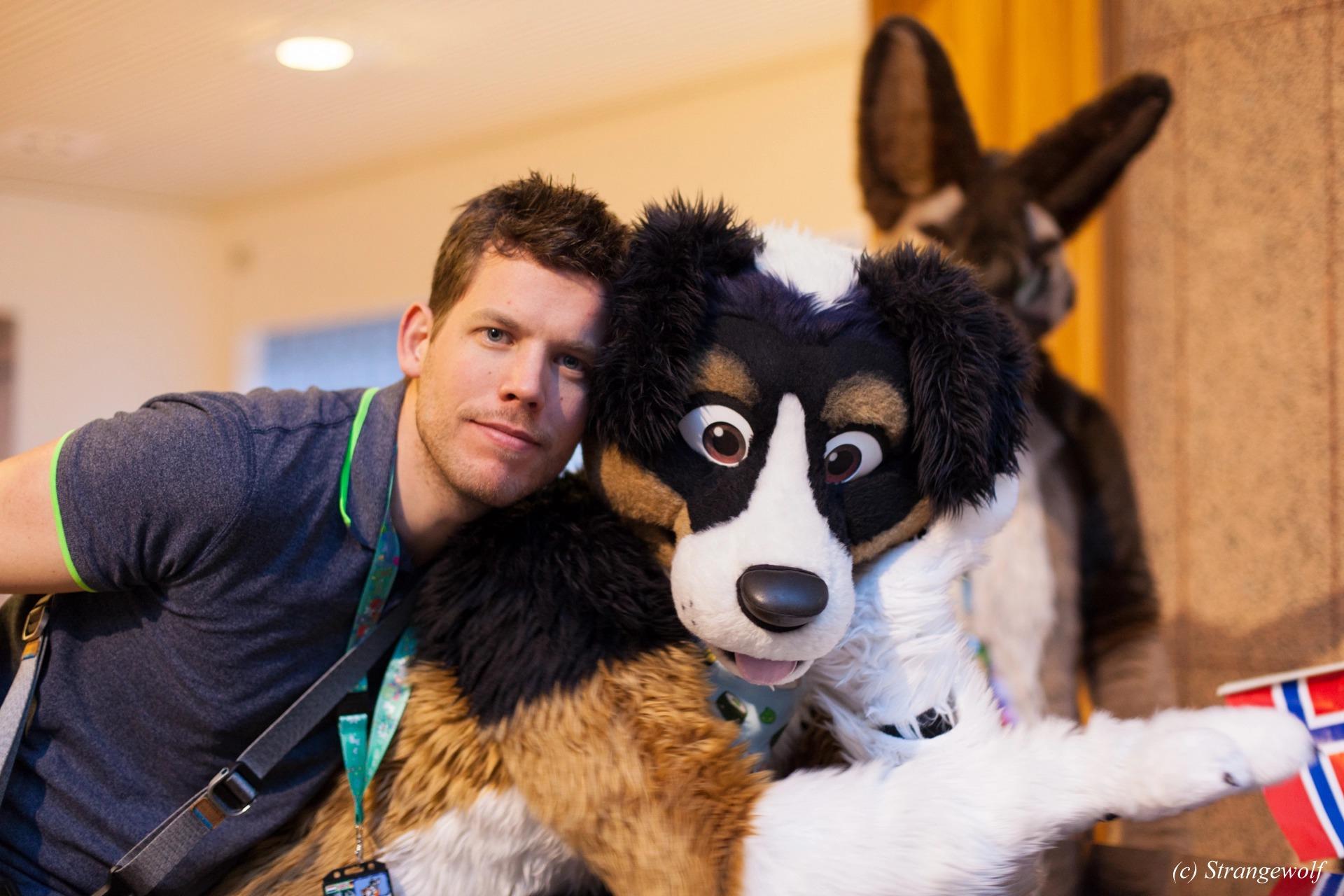 full image IMG_9596-lr19t.jpg