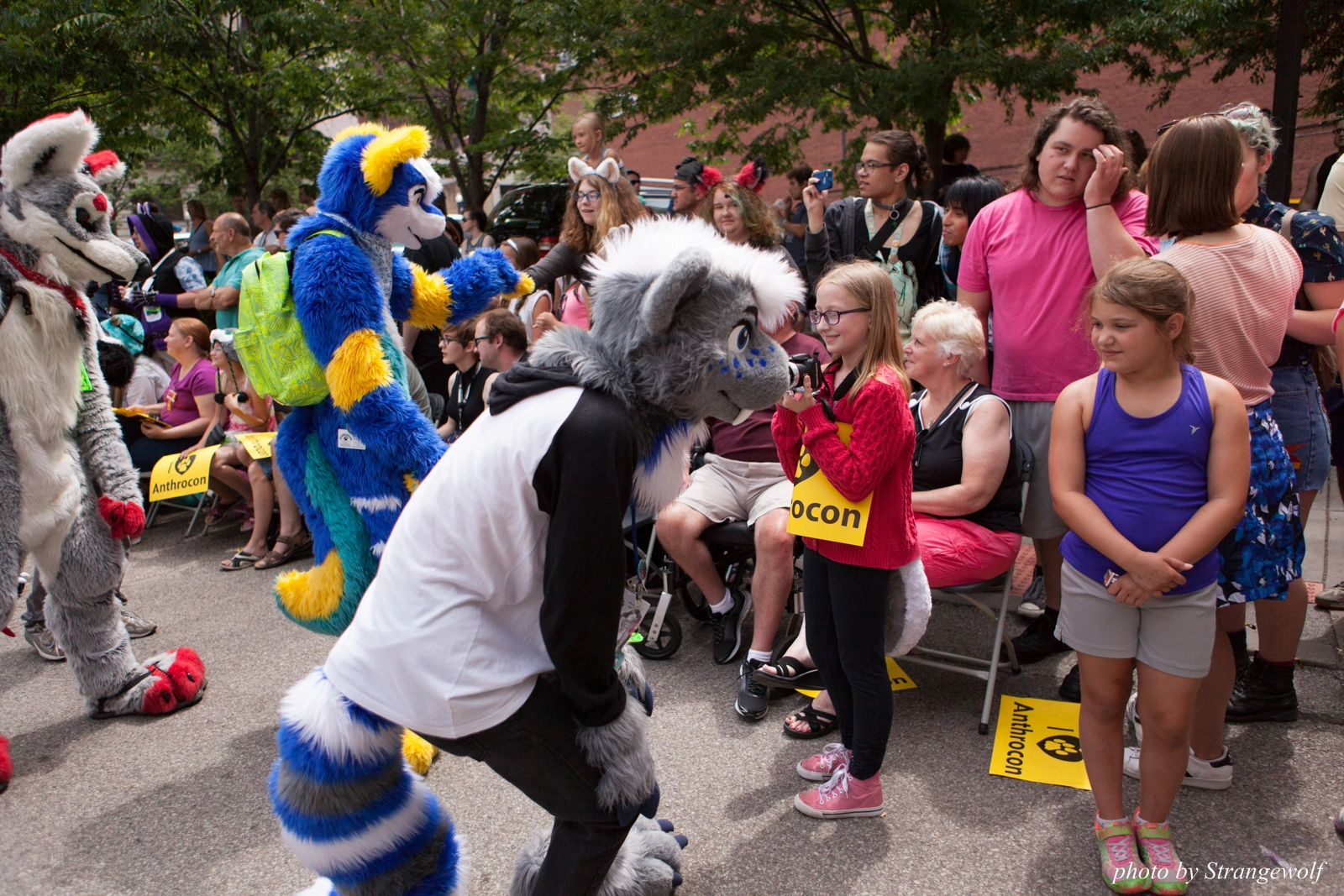full image IMG_8066-lr16t.jpg