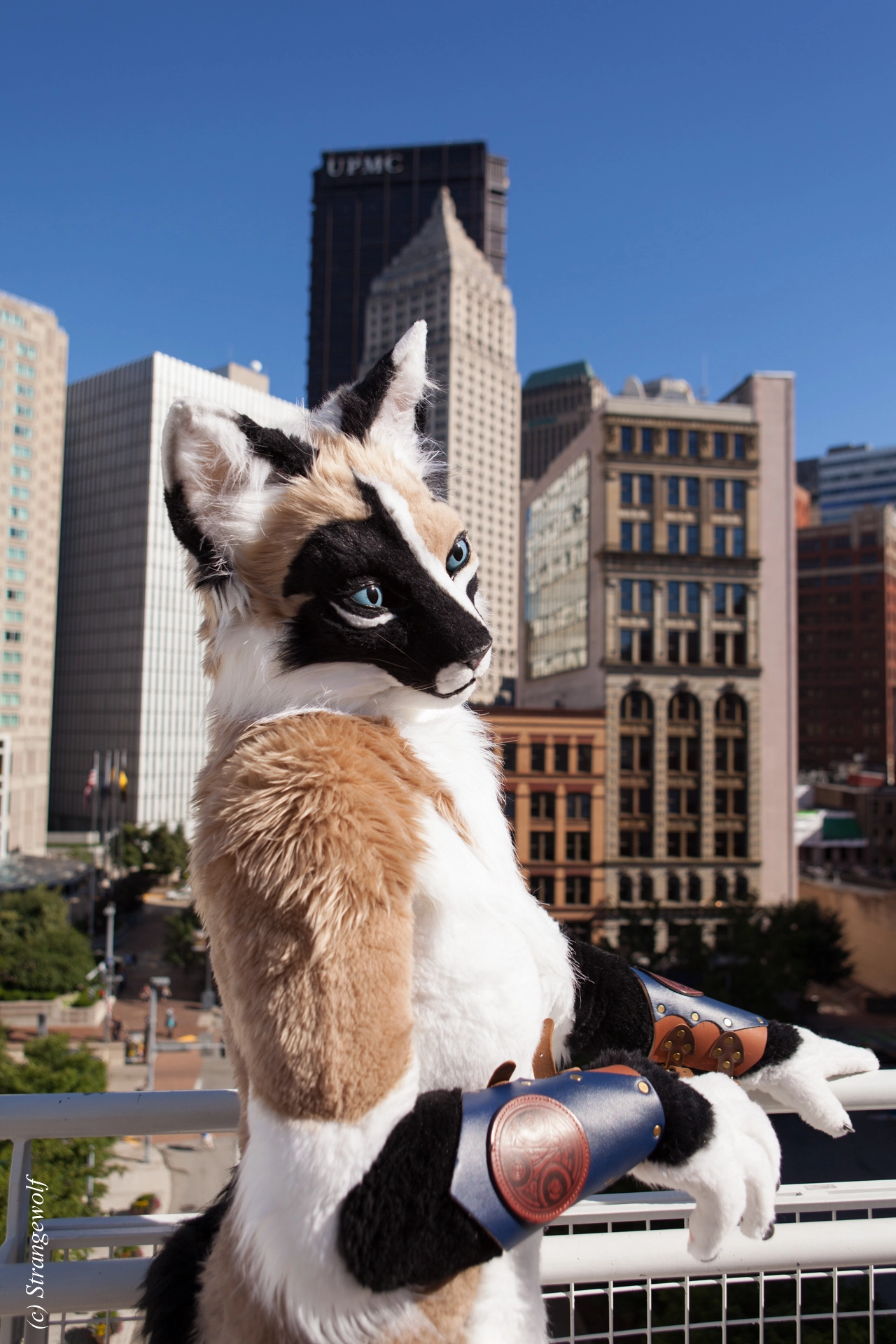 full image IMG_4239-lr19t.jpg